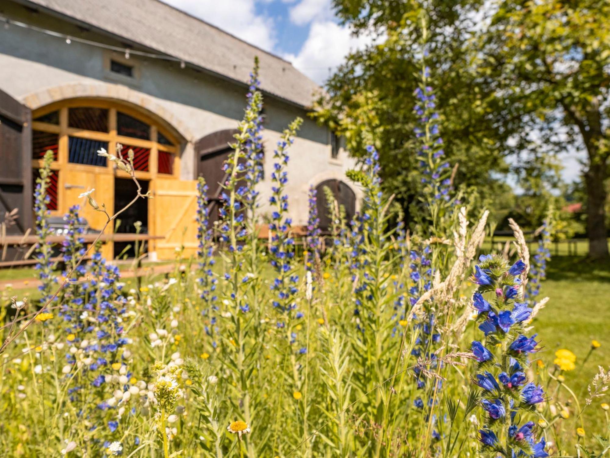 Hinterland Hostel Rathen Exteriér fotografie